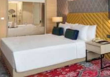 Trident Hotel Agra