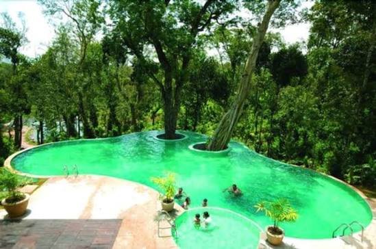 The Windflower Resorts And Spa Coorg