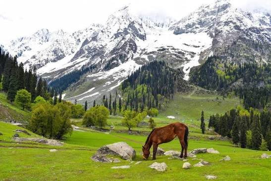 Kashmir Paradise Tour Package – 6 Days / 5 Nights